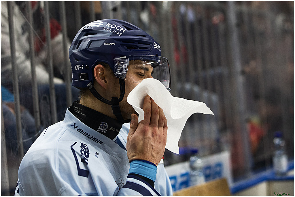 PENNY DEL; Koelner Haie- Straubing Tigers; Koeln, 15.12.2023